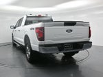 2025 F-150 Thumbnail 24
