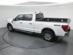 2025 F-150 Thumbnail 40