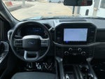 2025 F-150 Thumbnail 11