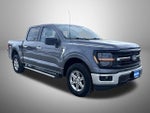 2025 F-150 Thumbnail 3