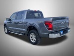 2025 F-150 Thumbnail 7