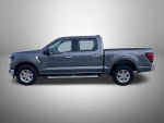 2025 F-150 Thumbnail 8