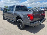 2025 F-150 Thumbnail 5