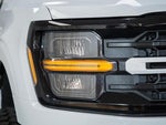 2025 F-150 Thumbnail 13