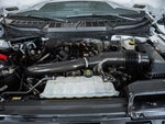 2025 F-150 Thumbnail 27