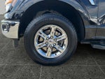 2025 F-150 Thumbnail 5