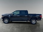 2025 F-150 Thumbnail 6