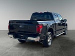 2025 F-150 Thumbnail 9