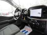 2025 F-150 Thumbnail 12