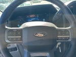 2025 F-150 Thumbnail 20
