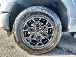 2025 F-150 Thumbnail 9