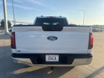 2025 F-150 Thumbnail 6