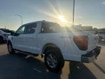 2025 F-150 Thumbnail 7