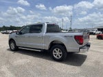 2025 F-150 Thumbnail 3