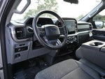 2025 F-150 Thumbnail 12