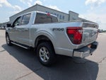 2024 F-150 Thumbnail 6