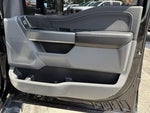 2024 F-150 Thumbnail 17