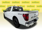 2024 F-150 Thumbnail 11