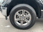 2024 F-150 Thumbnail 11