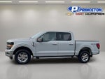 2024 F-150 Thumbnail 4