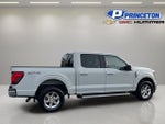 2024 F-150 Thumbnail 8