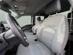 2024 F-150 Thumbnail 12