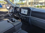 2024 F-150 Thumbnail 12