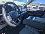 2024 F-150 Thumbnail 16