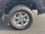 2024 F-150 Thumbnail 7