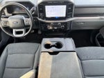 2024 F-150 Thumbnail 11