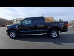 2024 F-150 Thumbnail 4