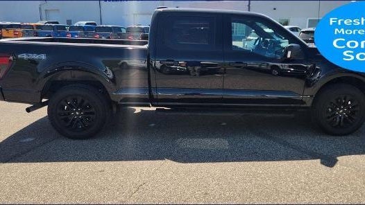 Preowned 2025 Ford F-150 XLT for Sale