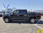 2025 F-150 Thumbnail 4