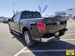 2025 F-150 Thumbnail 5
