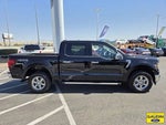 2025 F-150 Thumbnail 8