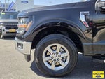 2025 F-150 Thumbnail 10