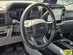 2025 F-150 Thumbnail 19