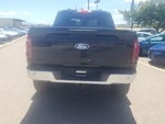 2025 F-150 Thumbnail 4