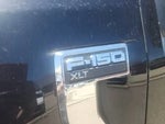 2025 F-150 Thumbnail 7