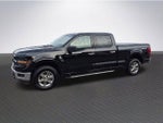 2025 F-150 Thumbnail 2