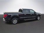 2025 F-150 Thumbnail 4