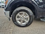 2025 F-150 Thumbnail 11