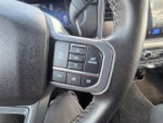 2025 F-150 Thumbnail 17