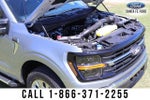 2025 F-150 Thumbnail 18