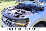2025 F-150 Thumbnail 20