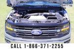 2025 F-150 Thumbnail 19