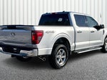 2025 F-150 Thumbnail 12