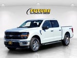 2025 F-150 Thumbnail 8