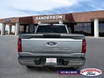 2025 F-150 Thumbnail 4