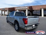 2025 F-150 Thumbnail 5